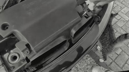 "Inhalator" Kaltluftansaugung Airscoop für den BMW 3er E46 320i-330i